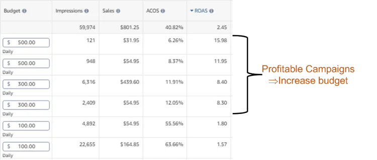 Table showing set campaign budget and RoAS