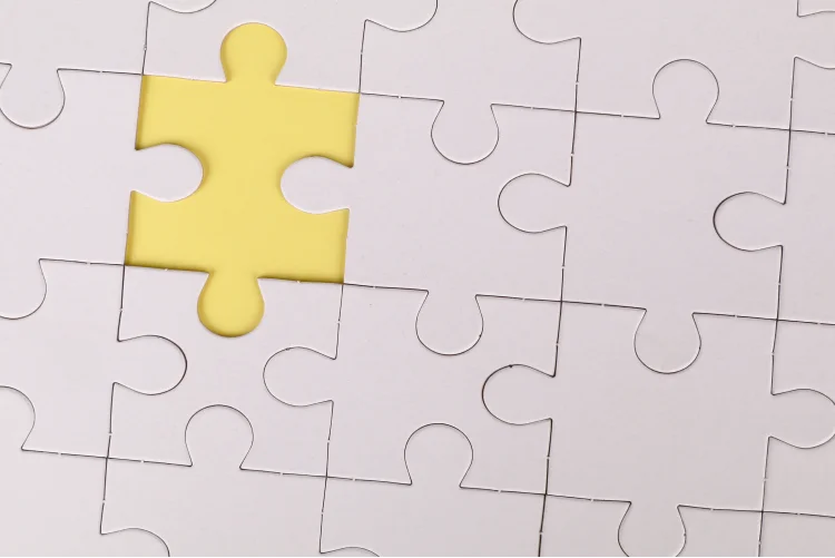 One Piece of Puzzle