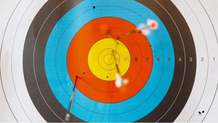 photo of a target with arrows in the center