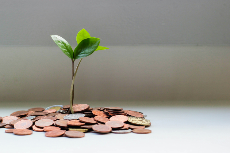 Money growing